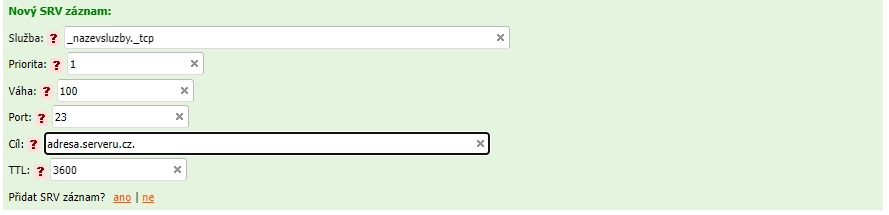 DNS Manažer SRV záznam